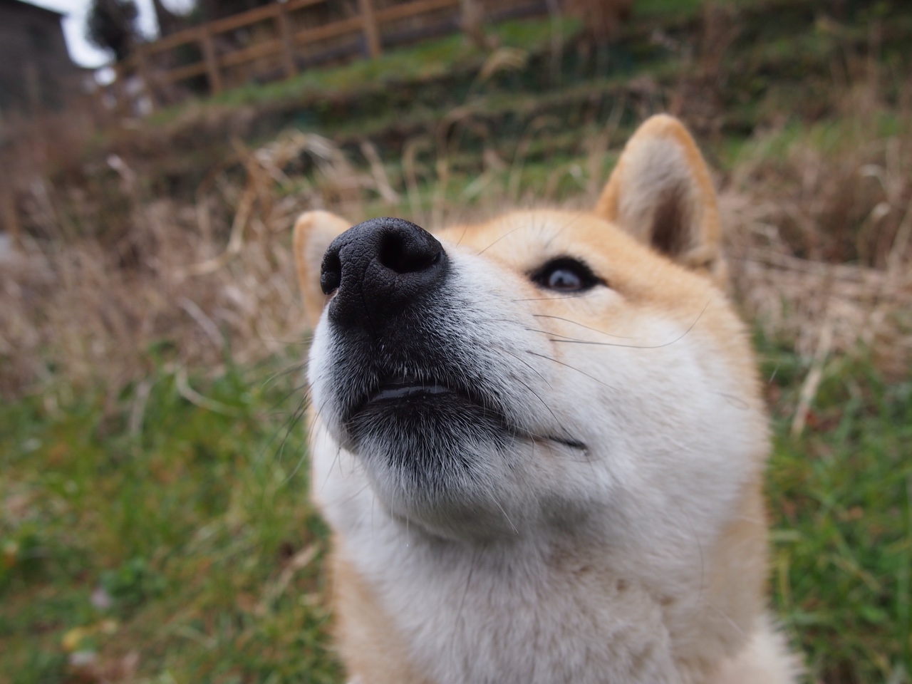 赛季最惊喜:逆转与绝杀瞬间盘点,逆转技能