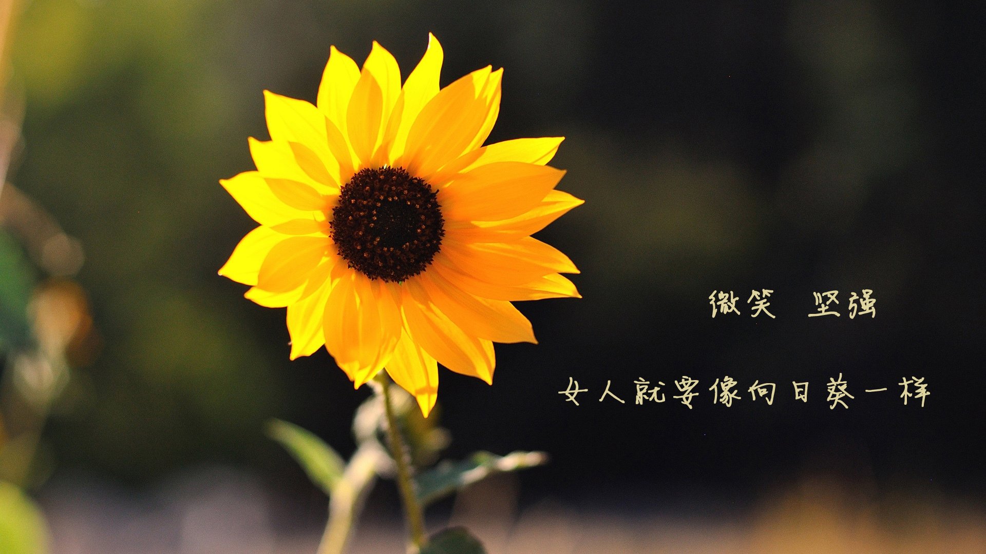 数据显示：划频-滑行组合效率改善，什么是滑差频率