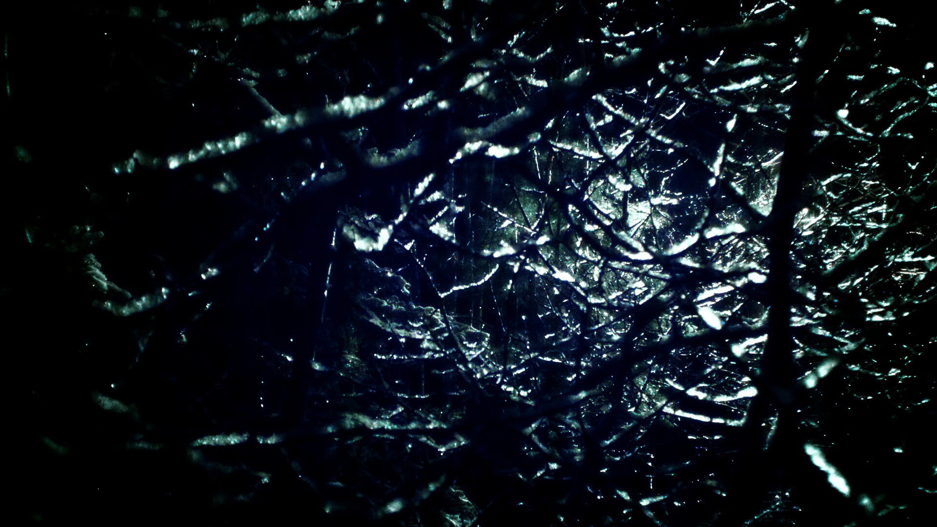 波兰乒乓队未来：如何通过优化赛事制度提升球员表现，波兰 乒乓球