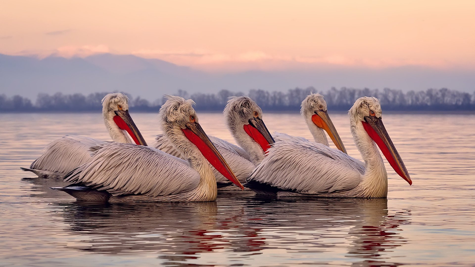 “飞跃东安湖:跑酷选手挑战最具难度的障碍赛道”